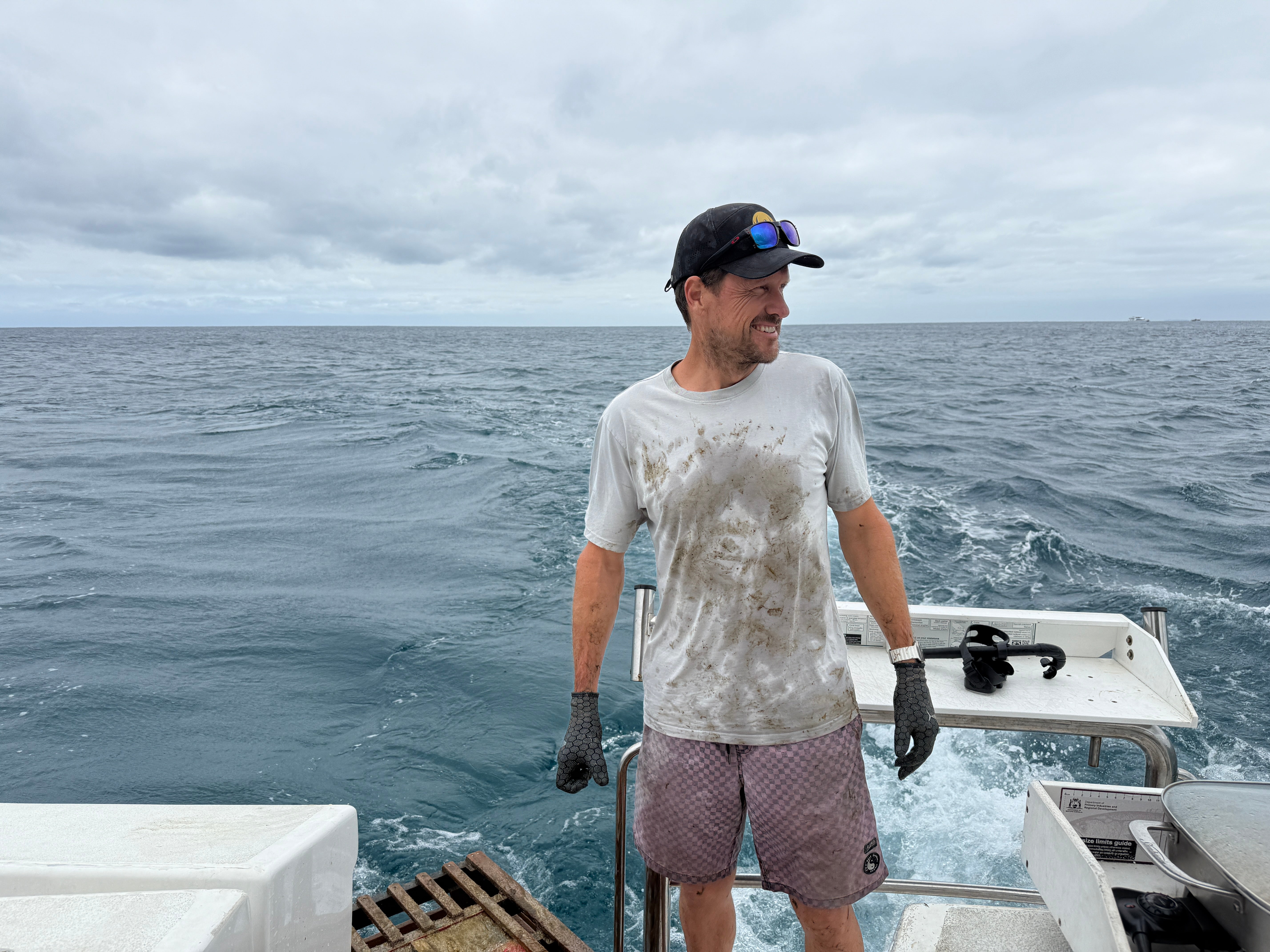 Sustainable laundry ideas