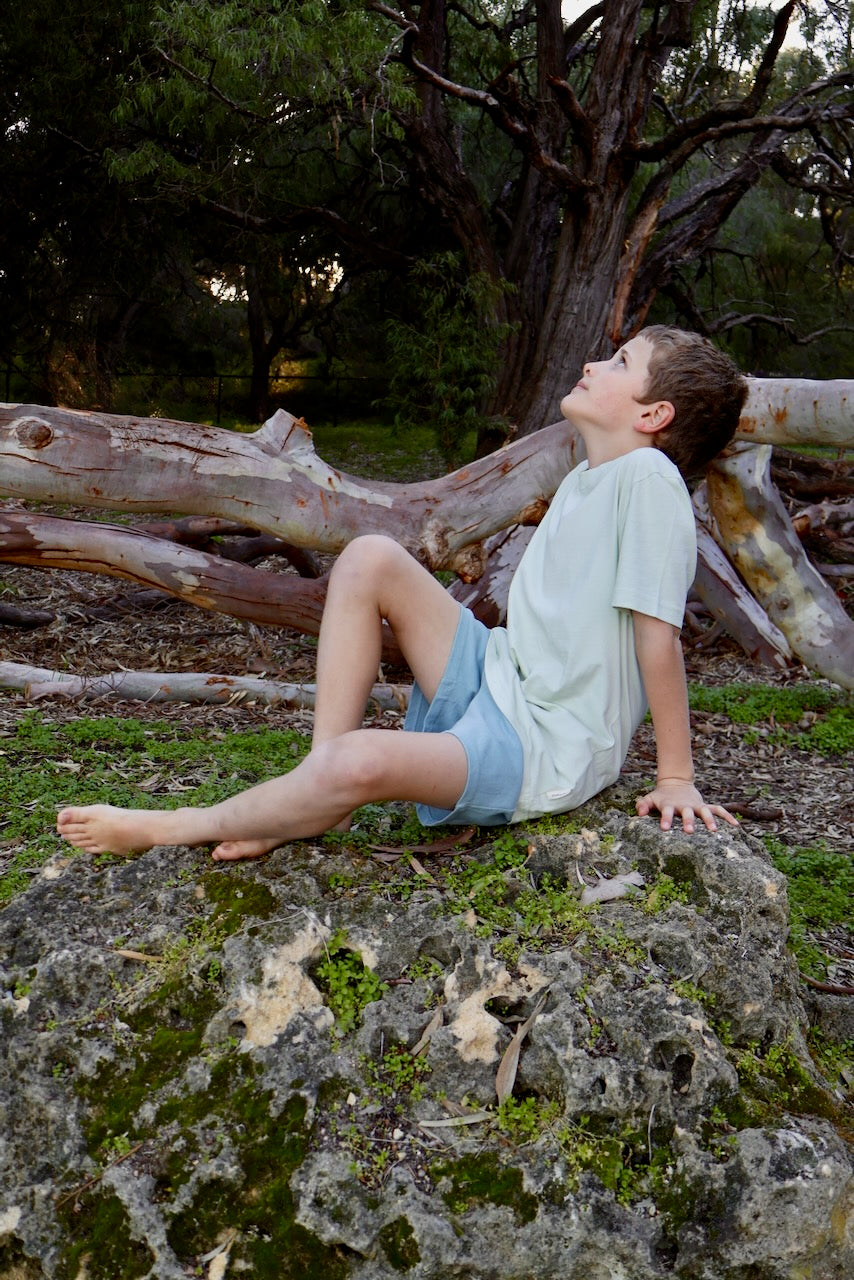 STAPLE Co Regenerative Organic Certified Cotton t-shirt and shorts