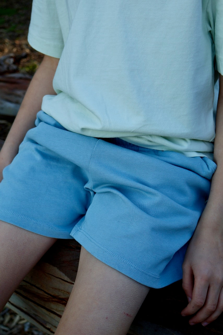 STAPLE Co Regenerative Organic Certified Cotton t-shirt and shorts