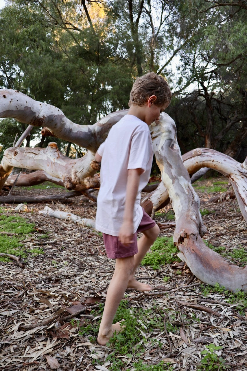STAPLE Co Regenerative Organic Certified Cotton t-shirt and shorts