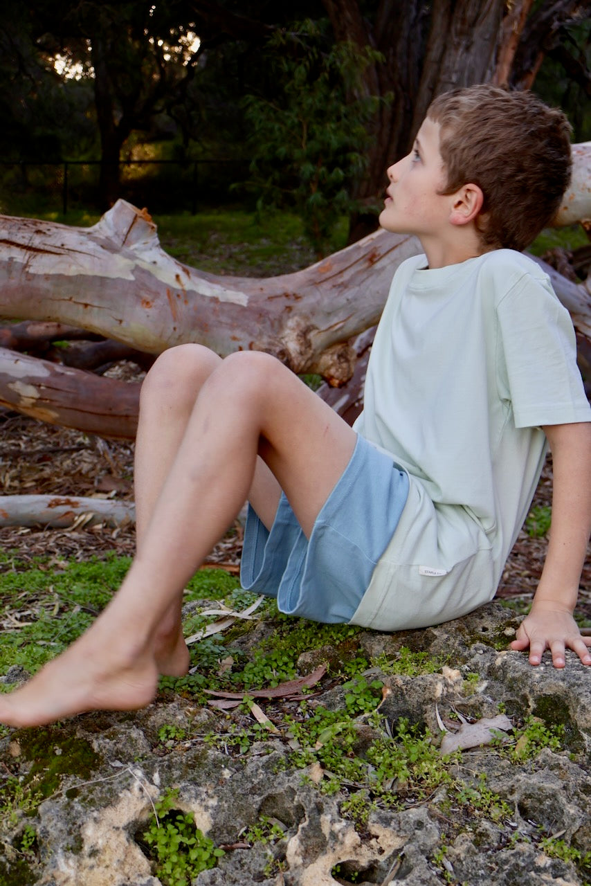 Regenerative Organic Certified Cotton t-shirt and shorts