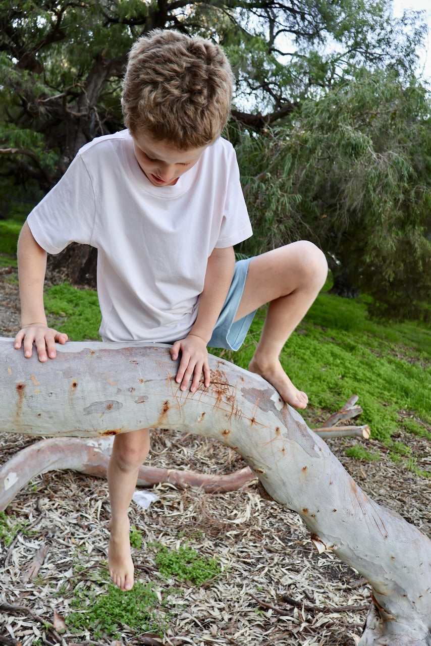 STAPLE Co Regenerative Organic Certified Cotton t-shirt and shorts